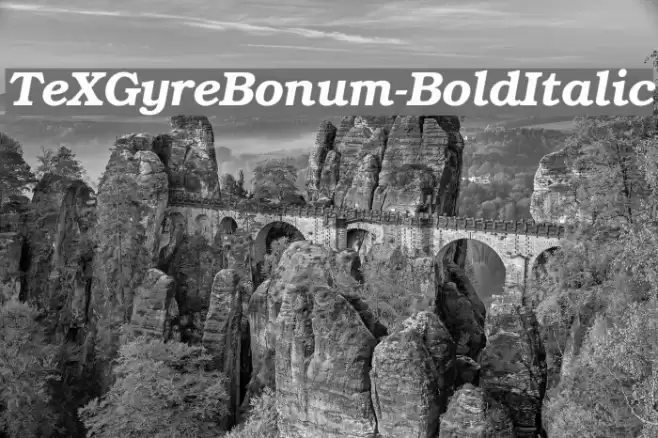 TeXGyreBonum-BoldItalic Font examples
