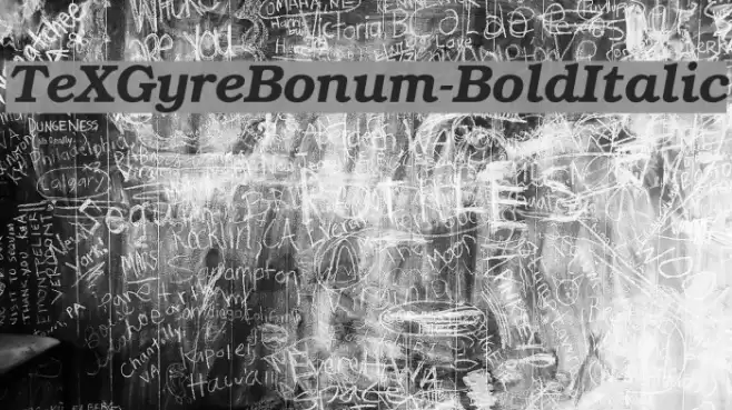 TeXGyreBonum-BoldItalic Font examples