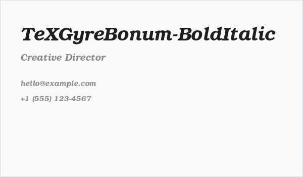 TeXGyreBonum-BoldItalic Business Card