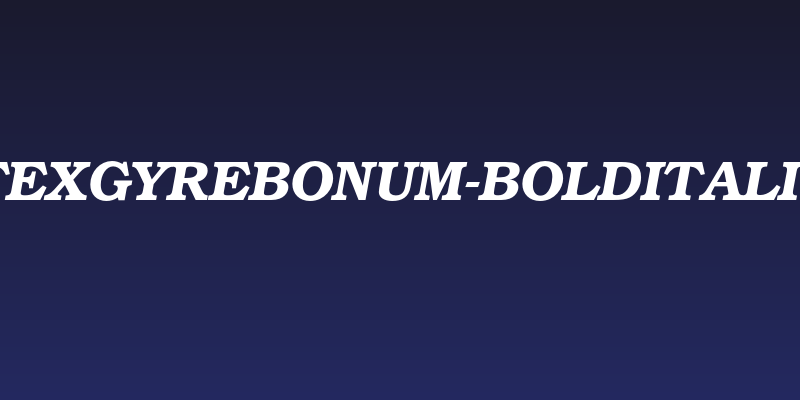TeXGyreBonum-BoldItalic Social Header