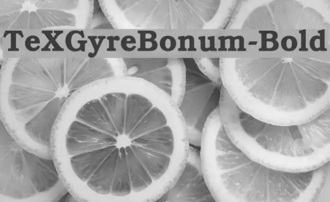 TeXGyreBonum-Bold Font examples