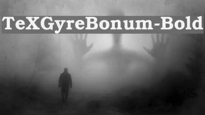 TeXGyreBonum-Bold Font examples