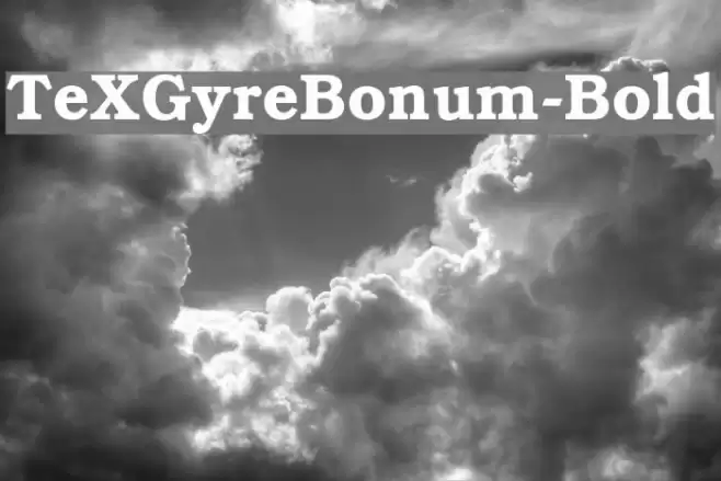 TeXGyreBonum-Bold Font examples