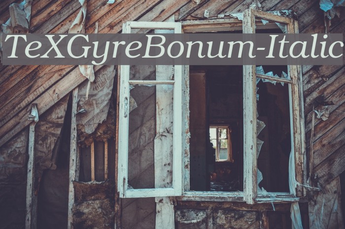 TeXGyreBonum-Italic Font examples