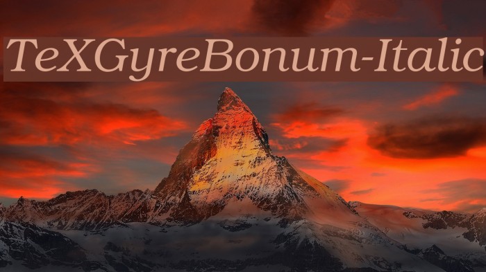 TeXGyreBonum-Italic Font examples