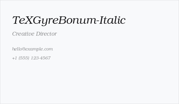 TeXGyreBonum-Italic Business Card