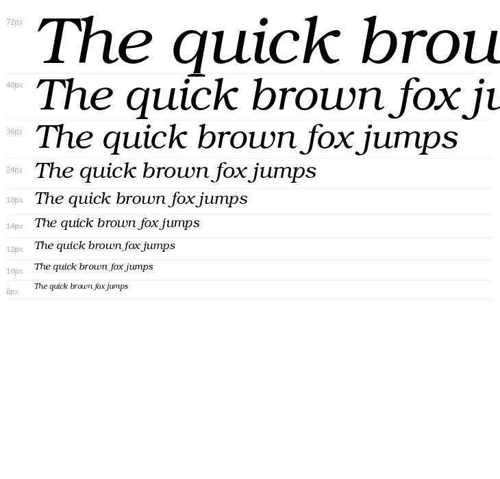 TeXGyreBonum-Italic Waterfall