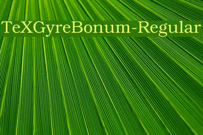 TeXGyreBonum-Regular Font examples