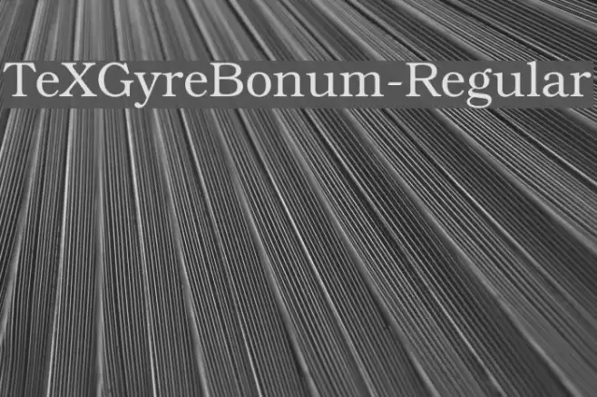 TeXGyreBonum-Regular Fonte examples