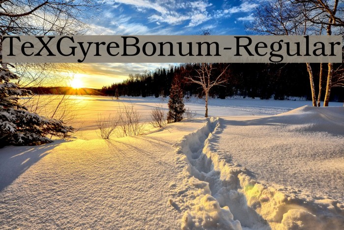 TeXGyreBonum-Regular Font examples