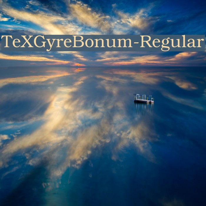 TeXGyreBonum-Regular Font examples