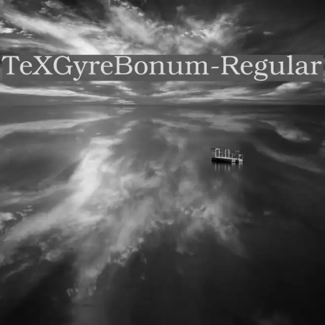 TeXGyreBonum-Regular Fonte examples