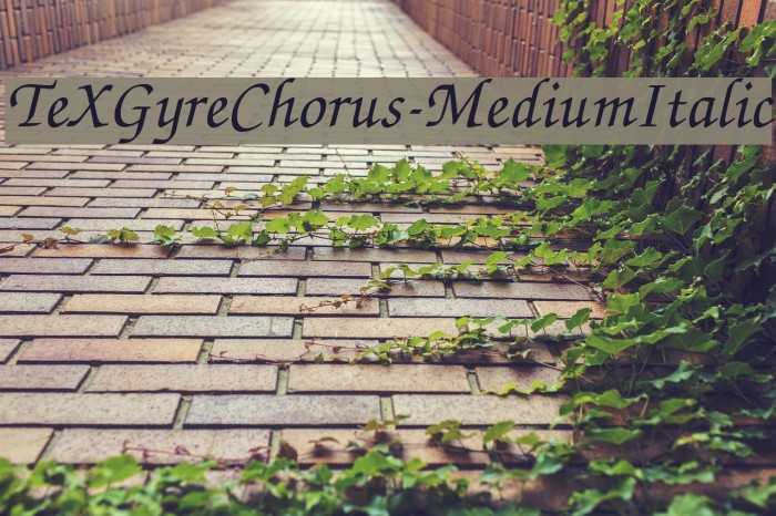 TeXGyreChorus-MediumItalic Font examples