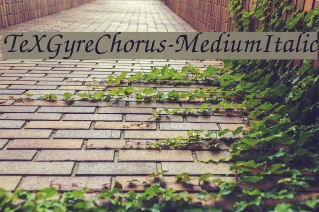 TeXGyreChorus-MediumItalic Example 2