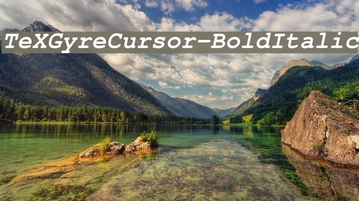 TeXGyreCursor-BoldItalic Font examples