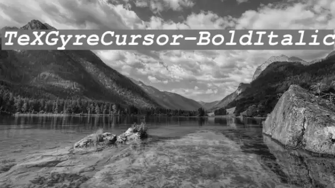TeXGyreCursor-BoldItalic Font examples