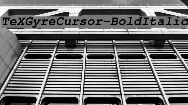 TeXGyreCursor-BoldItalic Font examples