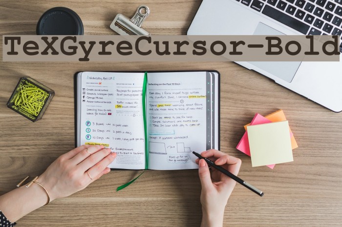 TeXGyreCursor-Bold フォント examples