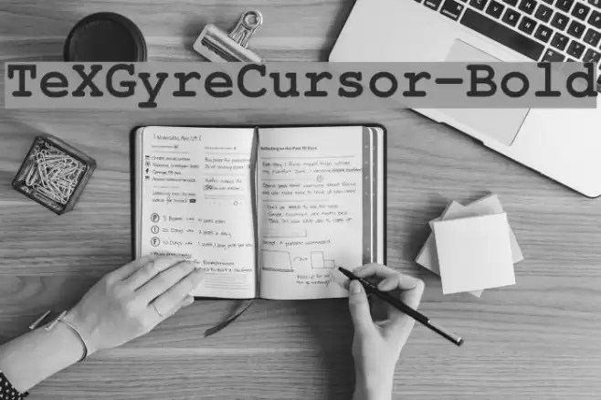 TeXGyreCursor-Bold フォント examples