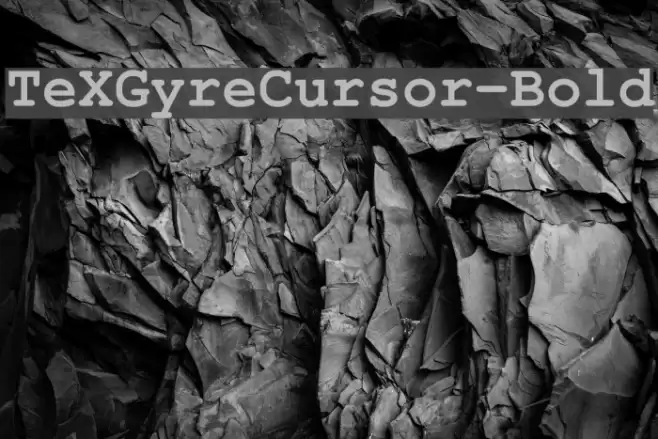 TeXGyreCursor-Bold フォント examples