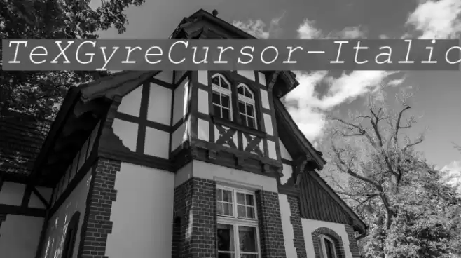 TeXGyreCursor-Italic Font examples