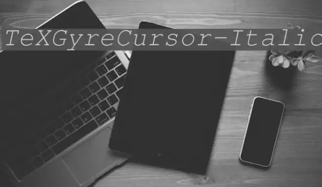 TeXGyreCursor-Italic Font examples
