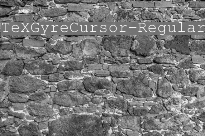 TeXGyreCursor-Regular Font examples