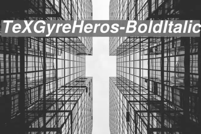 TeXGyreHeros-BoldItalic Font examples