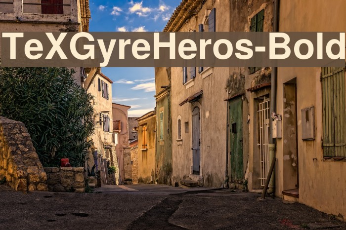 TeXGyreHeros-Bold Font examples