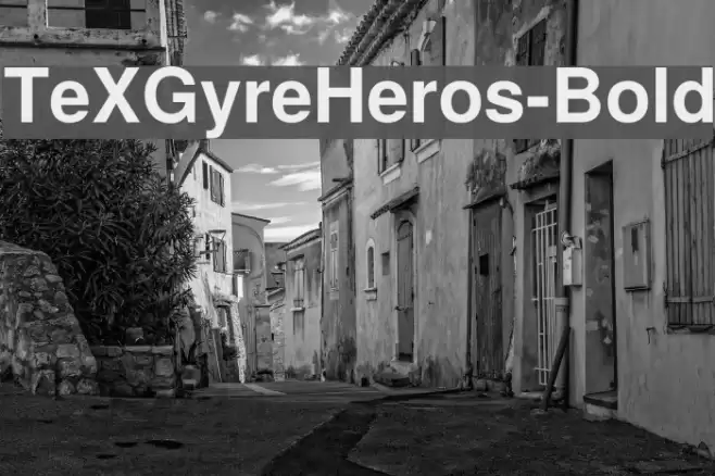 TeXGyreHeros-Bold Schriftart examples
