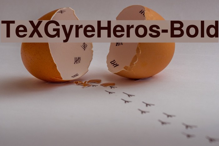 TeXGyreHeros-Bold Font examples