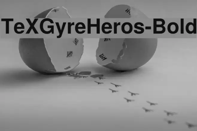 TeXGyreHeros-Bold Schriftart examples