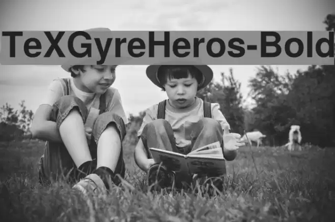 TeXGyreHeros-Bold Schriftart examples