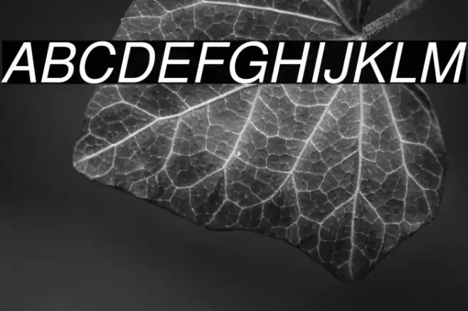 TeXGyreHeros-Italic Font examples