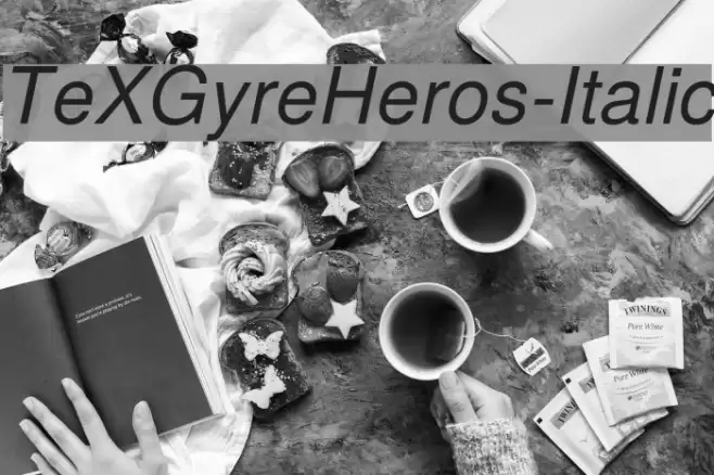 TeXGyreHeros-Italic Font examples