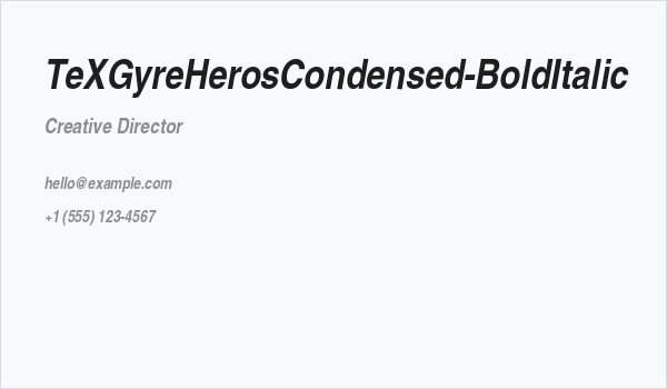TeXGyreHerosCondensed-BoldItalic Business Card