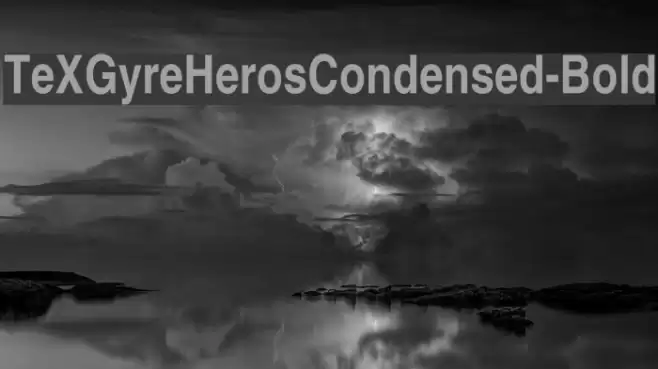 TeXGyreHerosCondensed-Bold Font examples
