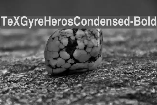 TeXGyreHerosCondensed-Bold Font examples