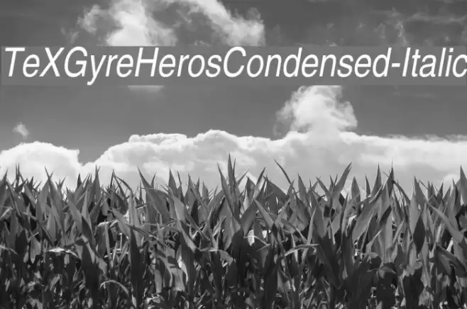 TeXGyreHerosCondensed-Italic Font examples