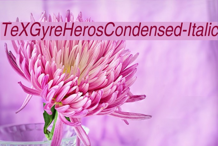 TeXGyreHerosCondensed-Italic Font examples