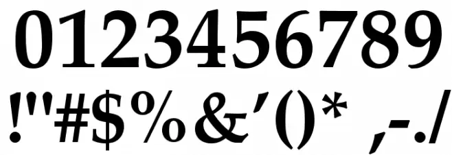 TeXGyrePagella-Bold Font OTHER CHARS