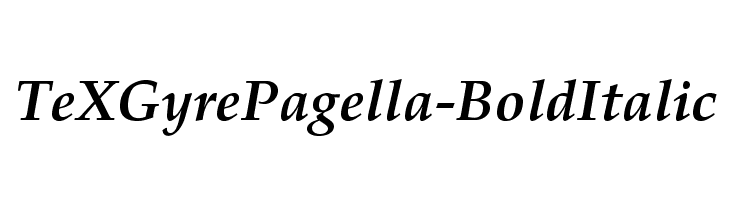 TeXGyrePagella-BoldItalic Font