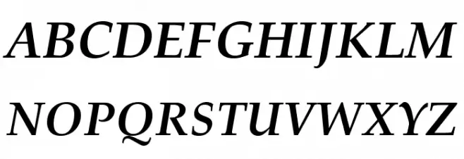 TeXGyrePagella-BoldItalic Schriftart Groß