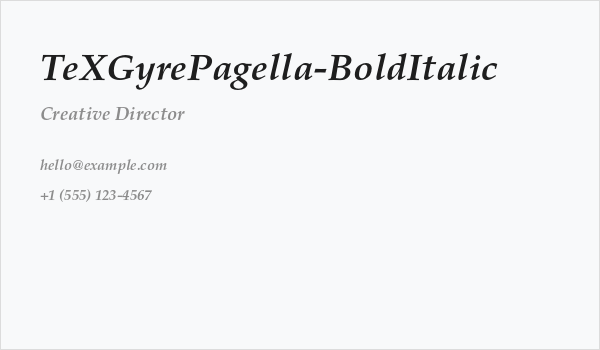 TeXGyrePagella-BoldItalic Business Card