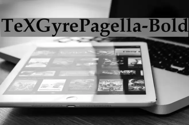 TeXGyrePagella-Bold Font examples