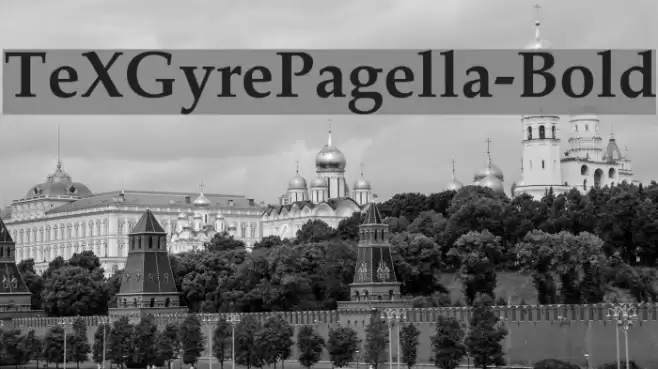 TeXGyrePagella-Bold Font examples