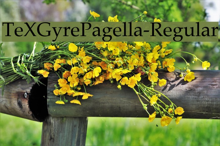 TeXGyrePagella-Regular لخطوط تنزيل examples