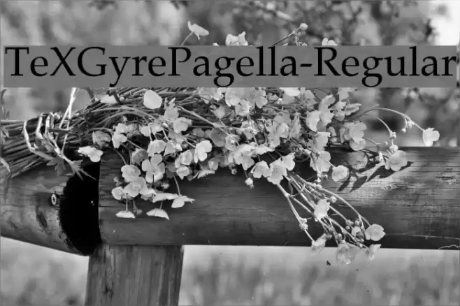 TeXGyrePagella-Regular خط examples