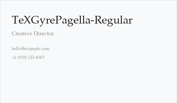 TeXGyrePagella-Regular Business Card