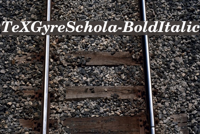TeXGyreSchola-BoldItalic Font examples